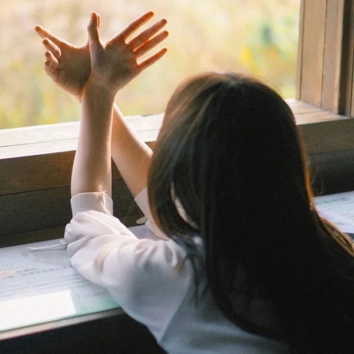 飙速宅男第四季