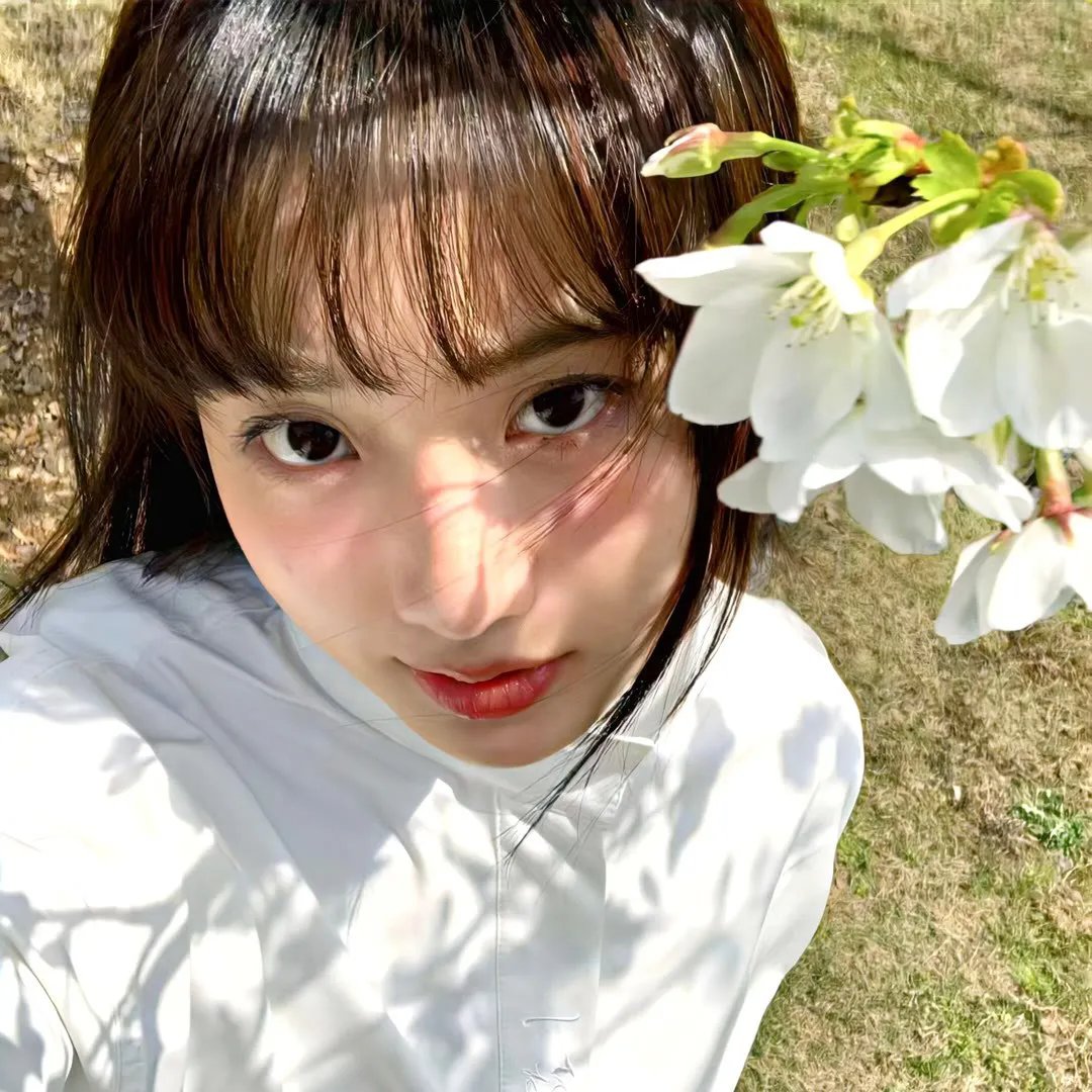 宝宝巴士之奇妙汉字